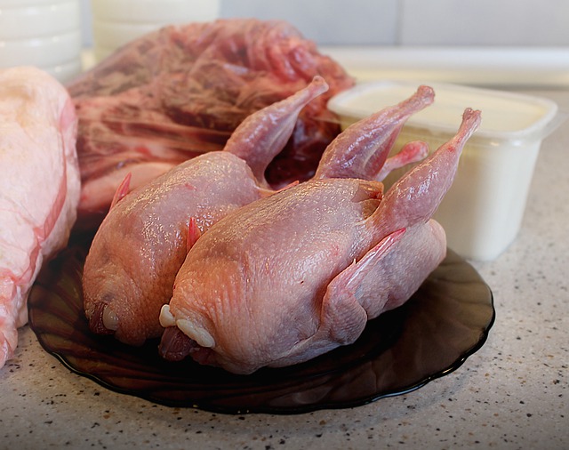 Strategi Menentukan Harga Jual Ayam Potong di Masa Panen