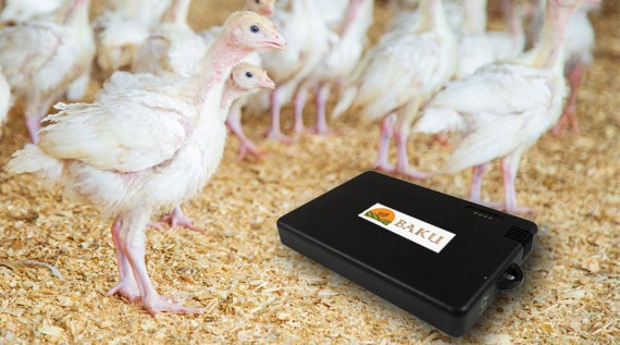 Perangkat Baku adalah perangkat yang mudah dipasang yang akan menangkap kondisi kawanan ayam broiler Anda secara real time.